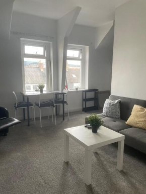 Modern Flat in City centre